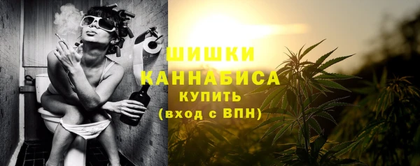 крисы Мегион
