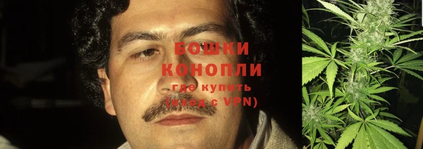 крисы Мегион