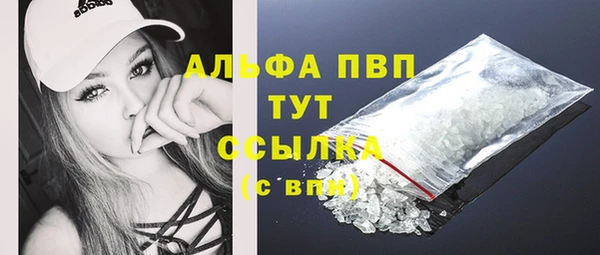 крисы Мегион