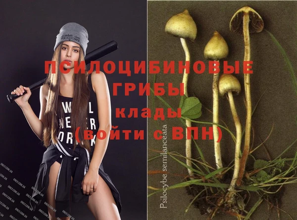 сатива Медногорск