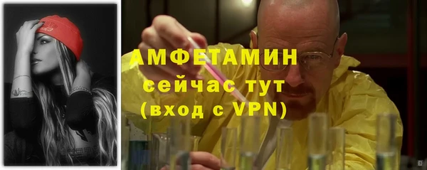 сатива Медногорск