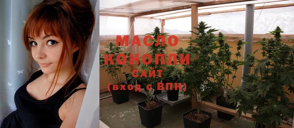 крисы Мегион