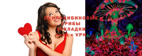 сатива Медногорск