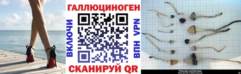 Галлюциногенные грибы Psilocybine cubensis Хвалынск