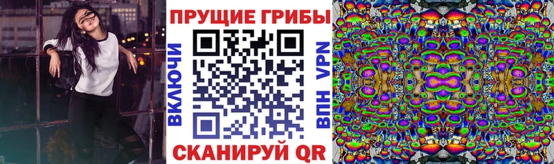 Купить  Хвалынск  Псилоцибиновые грибы GOLDEN TEACHER 